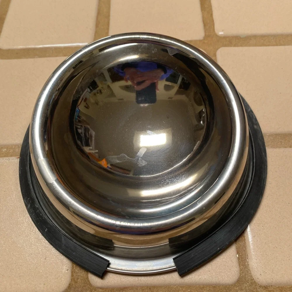 Stainless Steel Slanted Pet Bowl…perfect for a small or older dog.